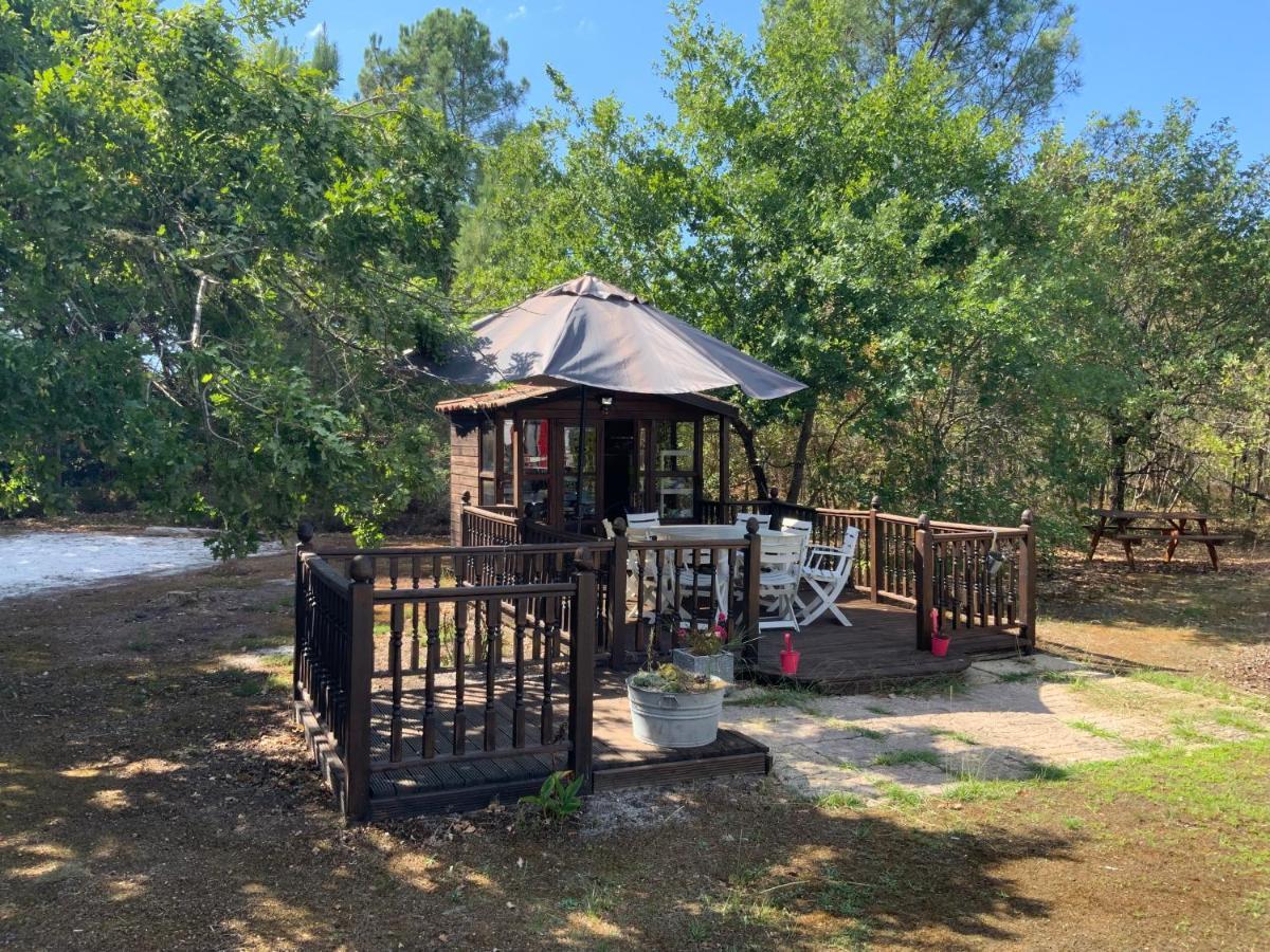 Commensacq Domaine De Labelo B&B 외부 사진